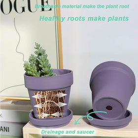 Vensovo pot supports plant display with breathable clay.