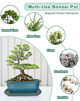 Vensovo pot makes a thoughtful gift for plant lovers and new hobbyists.