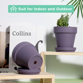 Vensovo four-pack with saucers for neat indoor-outdoor display.