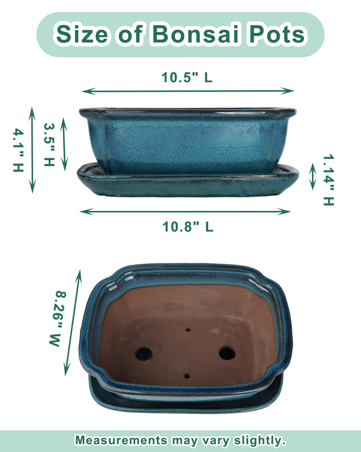 Vensovo rectangular shallow planter supports compact growth for bonsai and succulents.