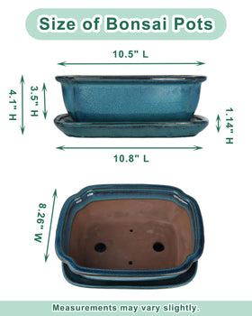 Vensovo rectangular shallow planter supports compact growth for bonsai and succulents.