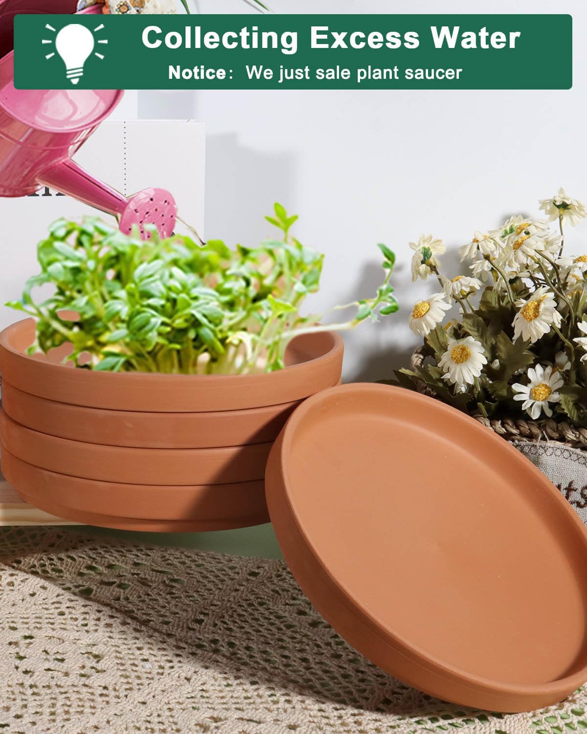 Vensovo 12-piece packaging protects saucers during transit.