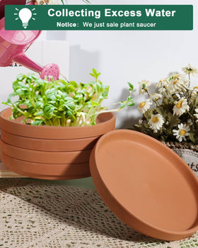 Vensovo 12-piece packaging protects saucers during transit.