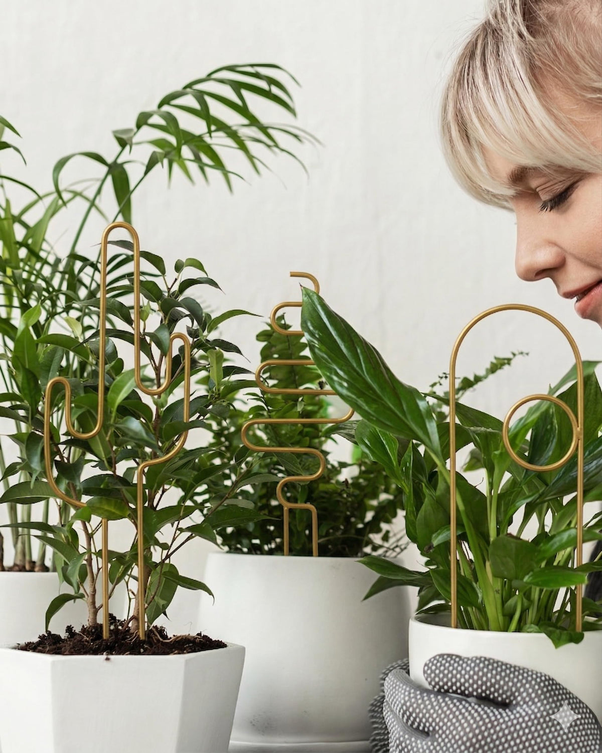 vensovo trellis arch pattern in gold provides elegant plant support for climbers.