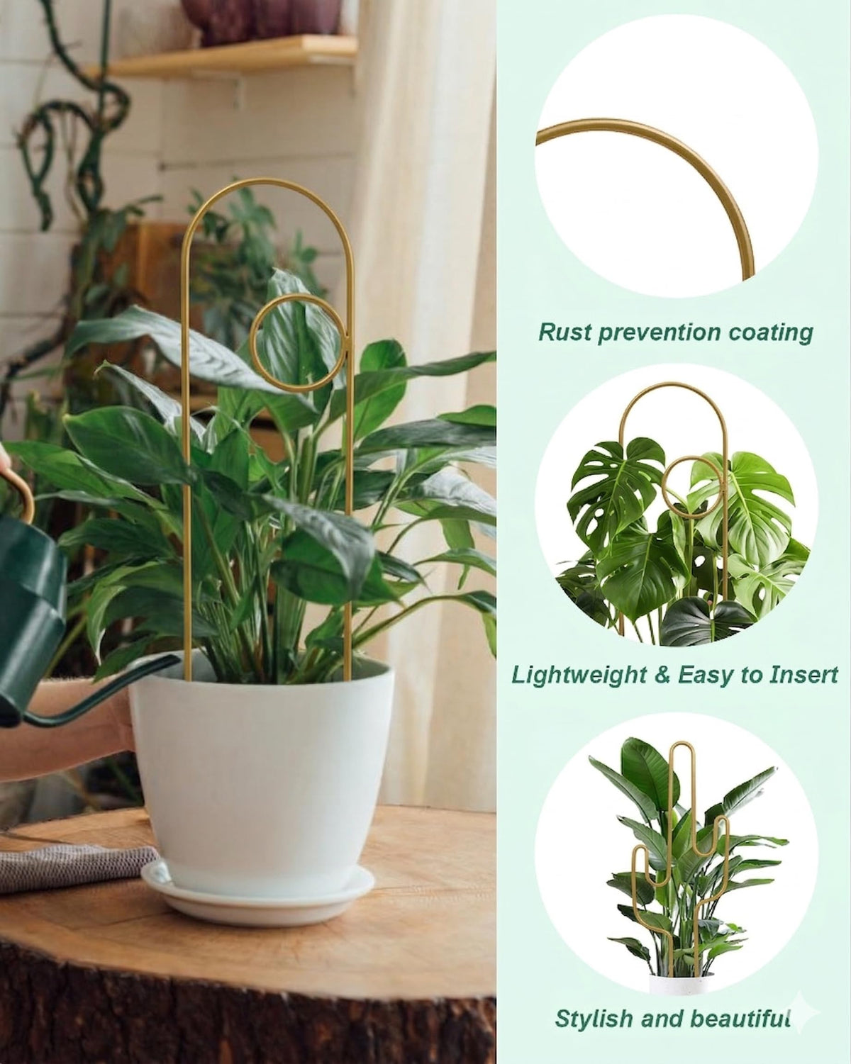 vensovo trellis cross pattern gold offers sturdy support for potted climbers.