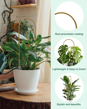 vensovo trellis cross pattern gold offers sturdy support for potted climbers.