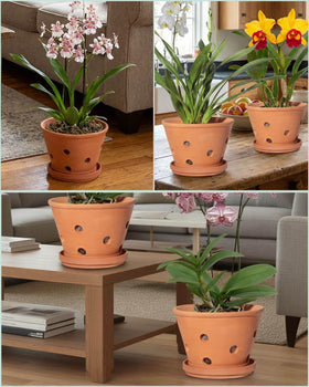 vensovo terracotta orchid pot indoor windowsill setup