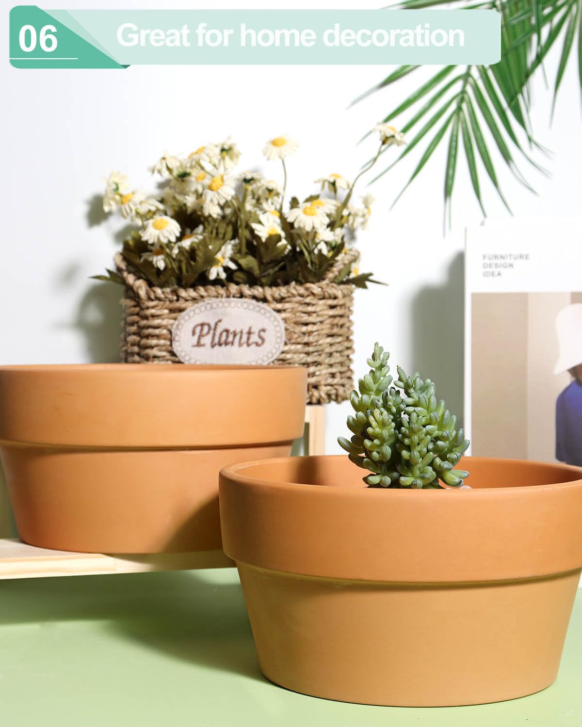 vensovo terracotta pot suited for cacti and succulents.