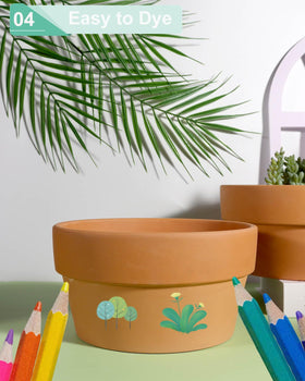 vensovo terracotta shallow pot dries soil faster between waterings.
