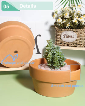 vensovo terracotta pot shallow design for compact plant displays.