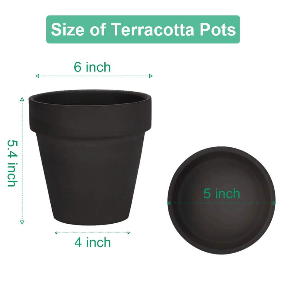 vensovo terracotta pot with drainage hole aids healthy roots and proper watering