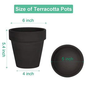 vensovo terracotta pot with drainage hole aids healthy roots and proper watering