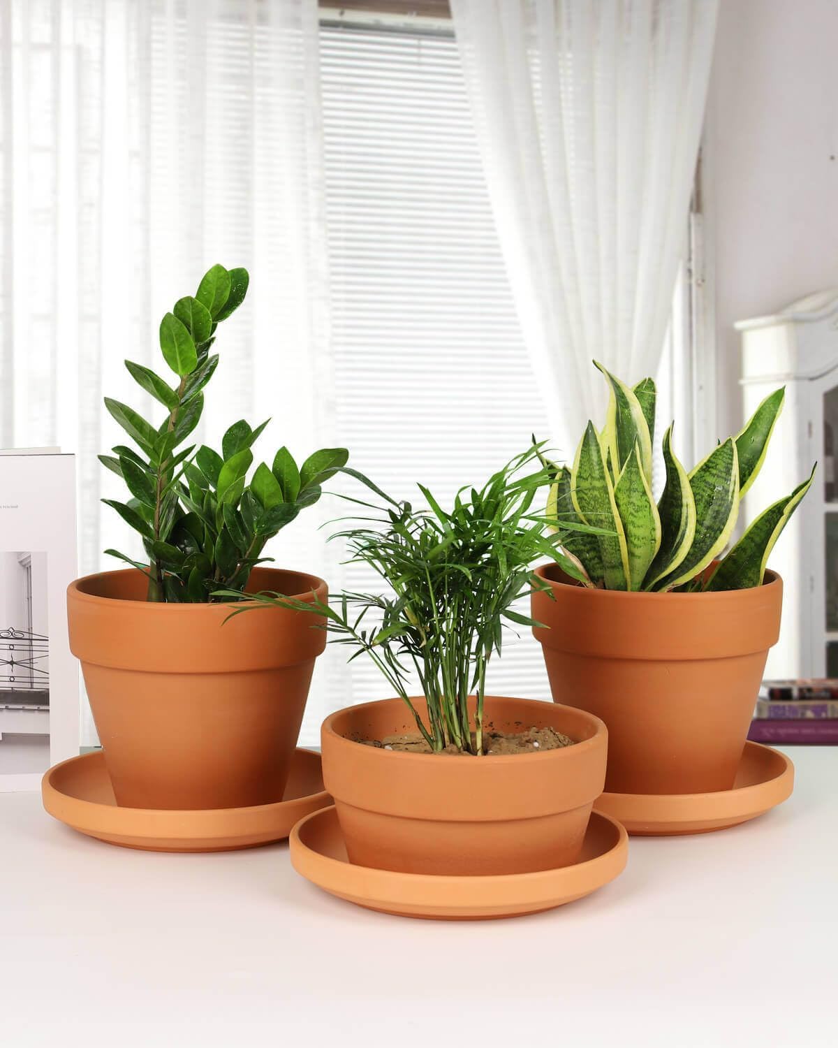 Vensovo terracotta saucer in indoor use protects surfaces from water.