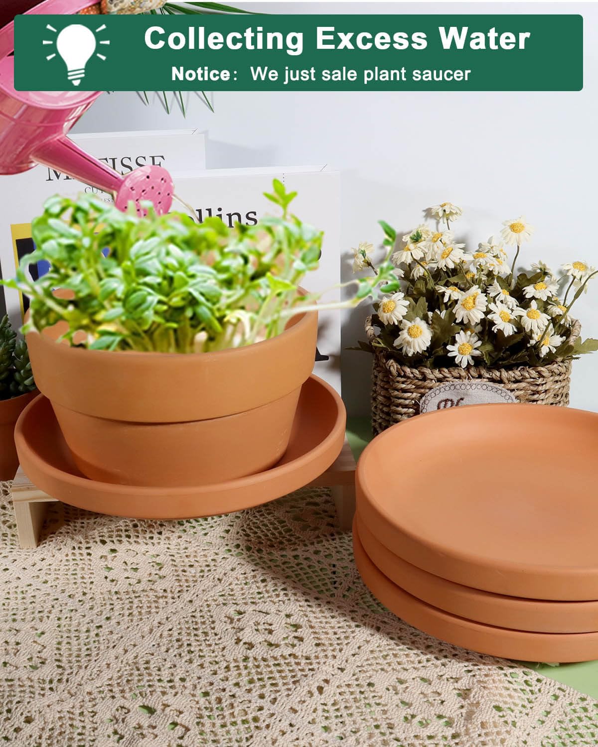 Vensovo terracotta saucer four-pack securely packed for protection.