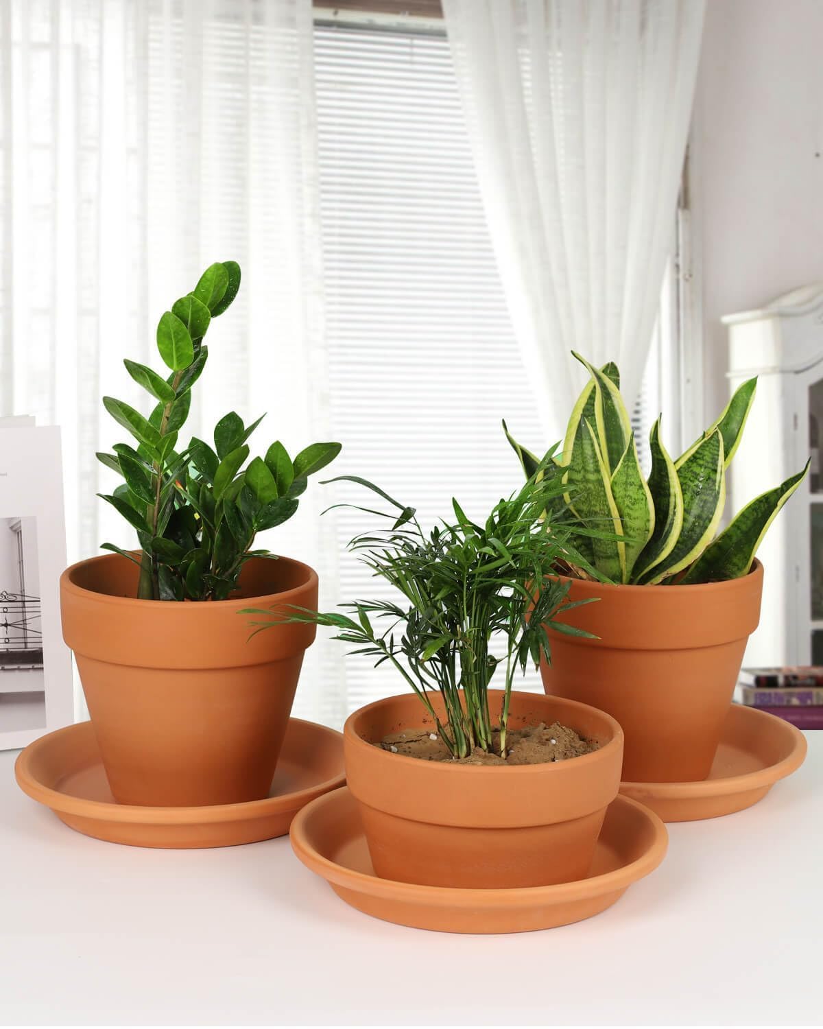 vensovo terracotta saucer under pot protecting surfaces indoors outdoors.