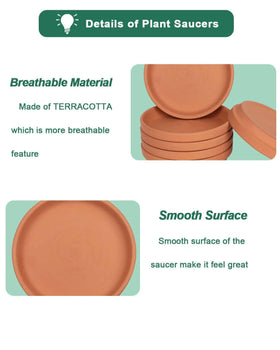 Vensovo sturdy clay tray keeps surfaces clean.