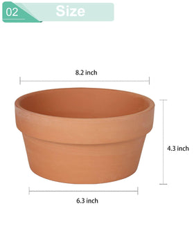 vensovo terracotta succulent pot for indoor or outdoor display.