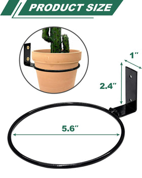 Vensovo vertical garden wall setup on balcony creates a compact display.