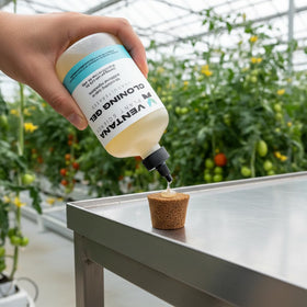 Ventana cloning gel dispense demonstrates easy dipping of cuttings.