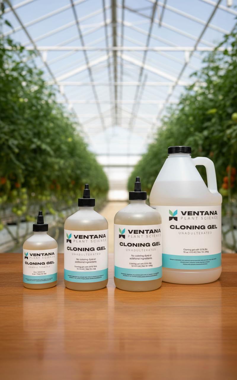 Ventana cloning gel applied with rapid rooter plugs for efficient propagation.