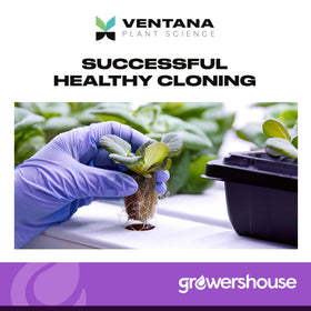 Dye-free Ventana cloning gel highlights safe, simple rooting for cuttings.