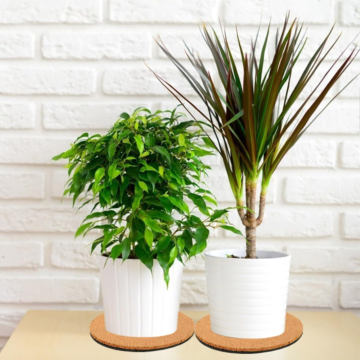 Venyat cork plant coaster rounds blend with decor while offering stable, scratch-free placement