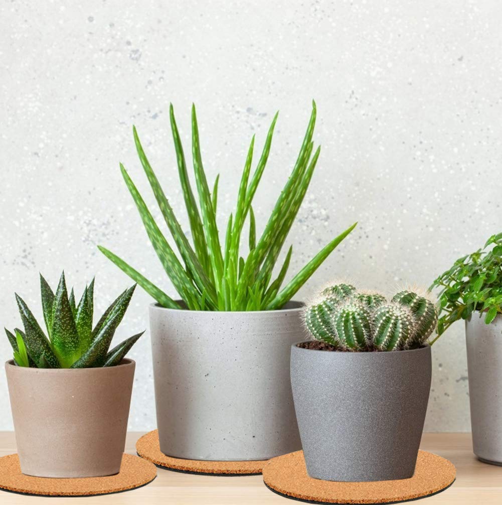 Venyat cork pad suitable for indoor and outdoor plant setups