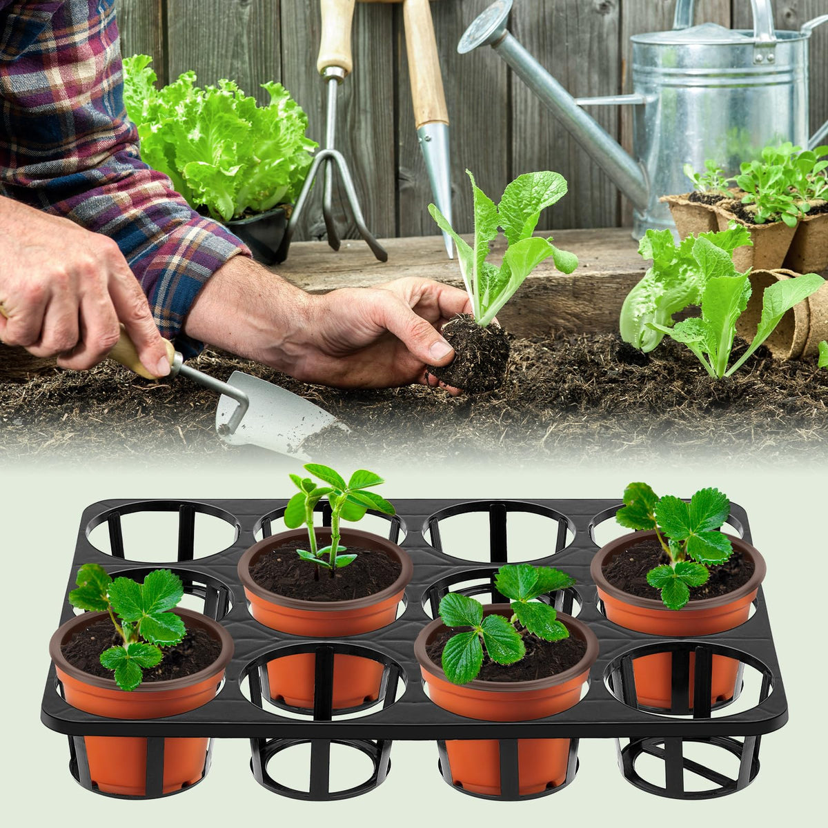 Vercraft germination-ready tray ideal for greenhouse settings