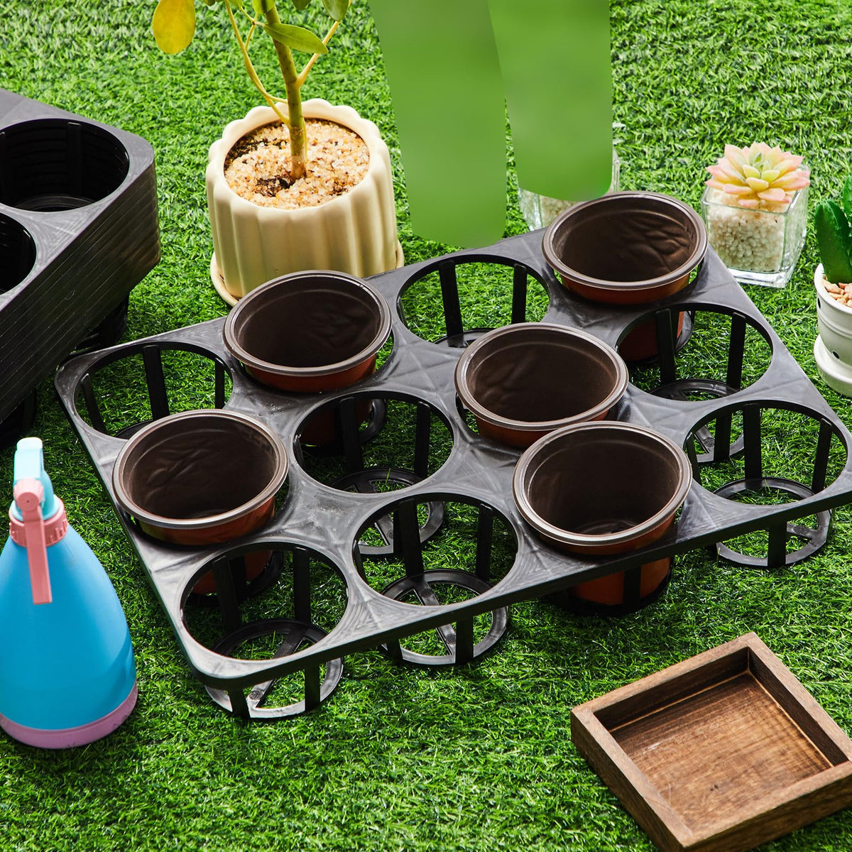 Vercraft 12-cell trays support efficient seedling organization