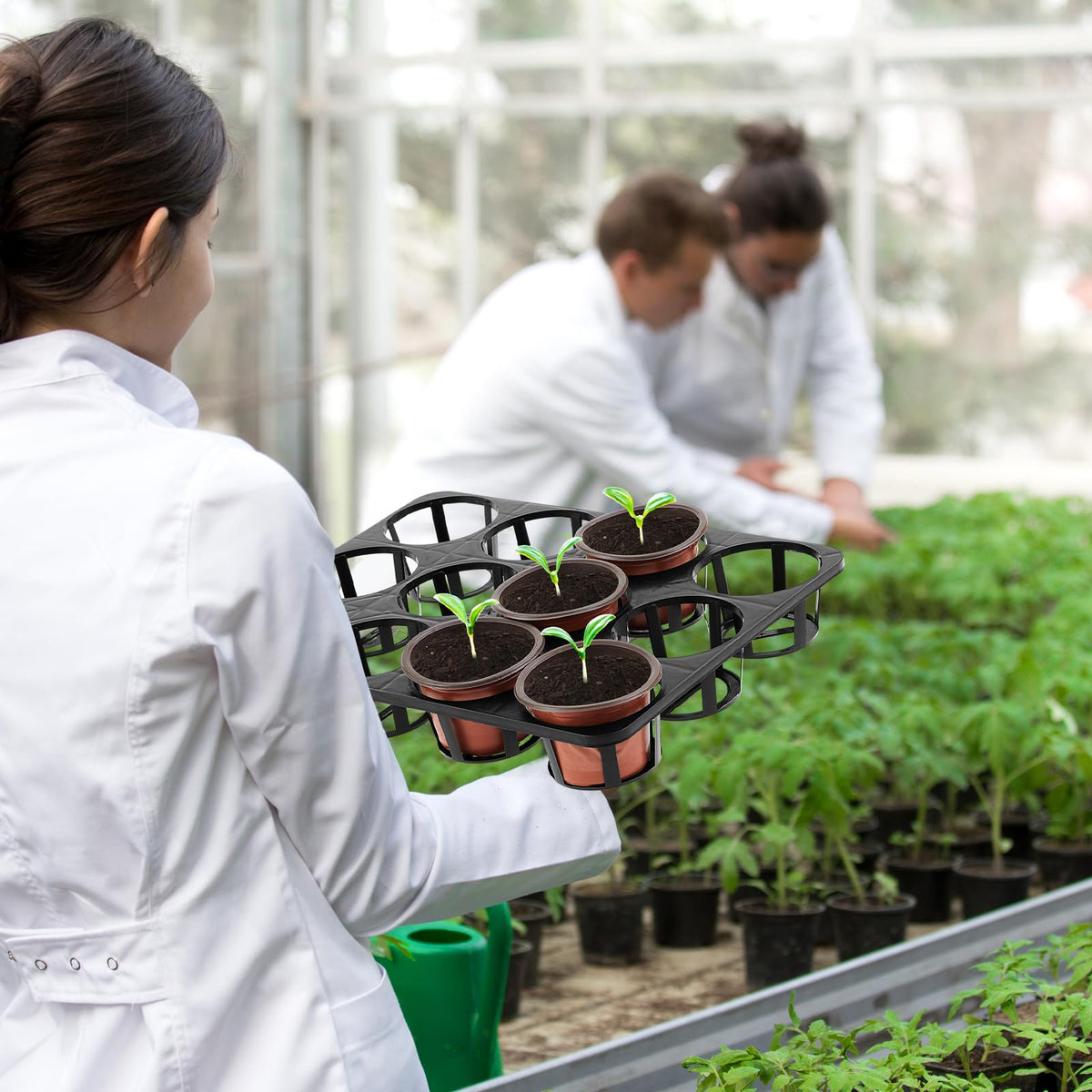 Vercraft large garden carrier tray simplifies seedling movement