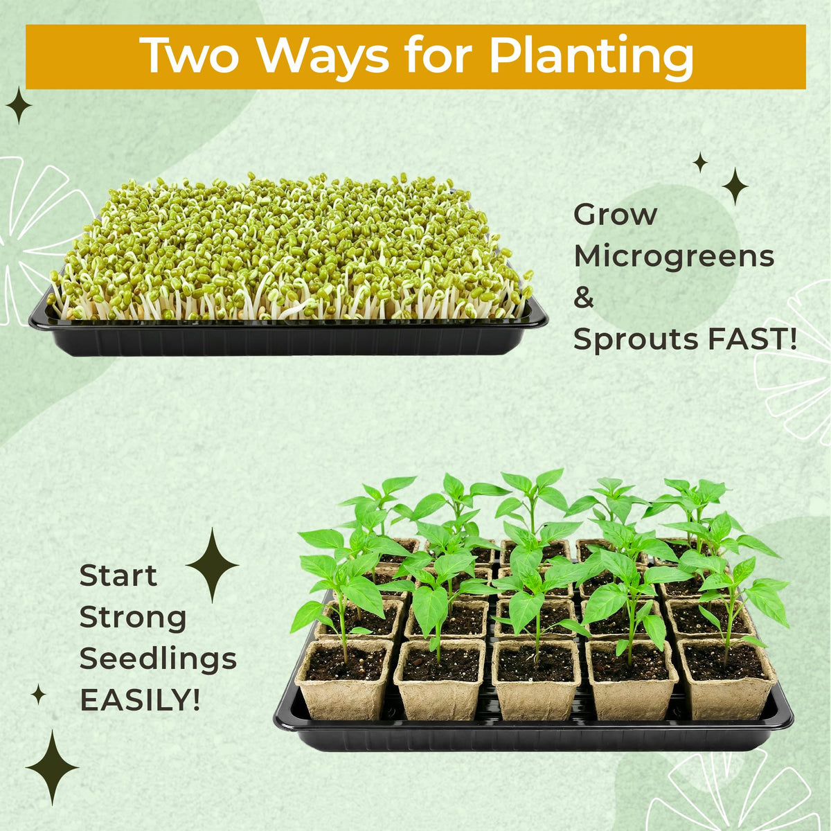 Verdanzia seed pots with drainage holes improving aeration and moisture balance