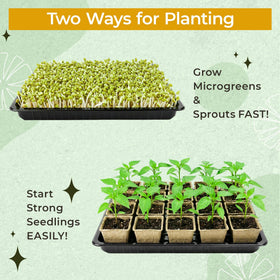 Verdanzia seed pots with drainage holes improving aeration and moisture balance