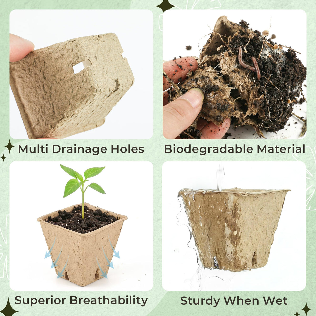 Verdanzia kraft paper square pot ready for direct transplant into soil