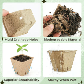 Verdanzia kraft paper square pot ready for direct transplant into soil