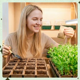 Verdanzia seed starter kit promoting organized and efficient planting