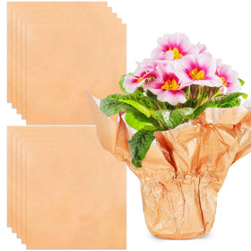 Verdanzia rose gold foil wrap pot cover on a plant pot for stylish protection