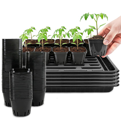Verdanzia seed-starter-tray keeps seedlings organized for easy transplanting.