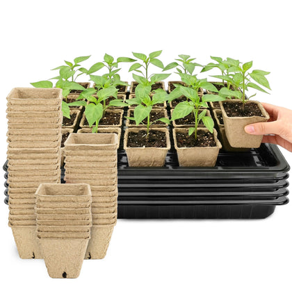 Verdanzia seed starter tray organized with 16 pots on a bright windowsill, ready for propagation