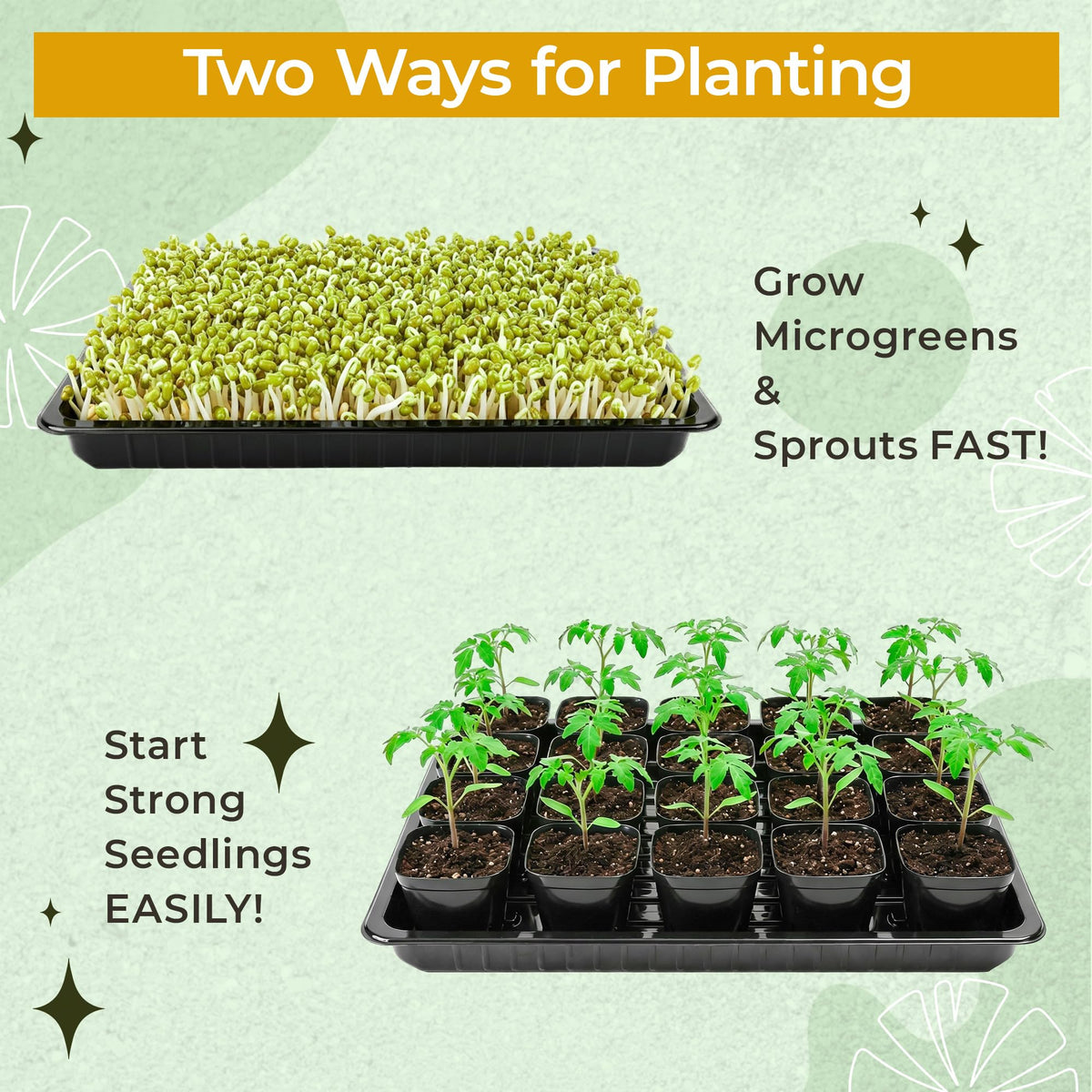 Verdanzia seedling-tray inner cavity holds sixteen pots securely.