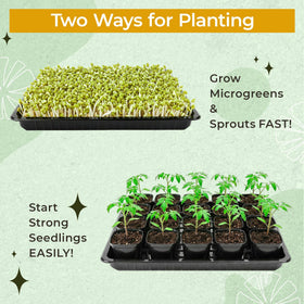 Verdanzia seedling-tray inner cavity holds sixteen pots securely.