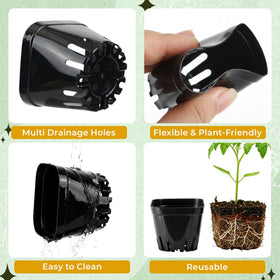 Verdanzia kraft-paper square pots that transplant directly into soil.