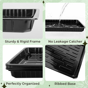 Verdanzia tray with 16 square pots securely held in place