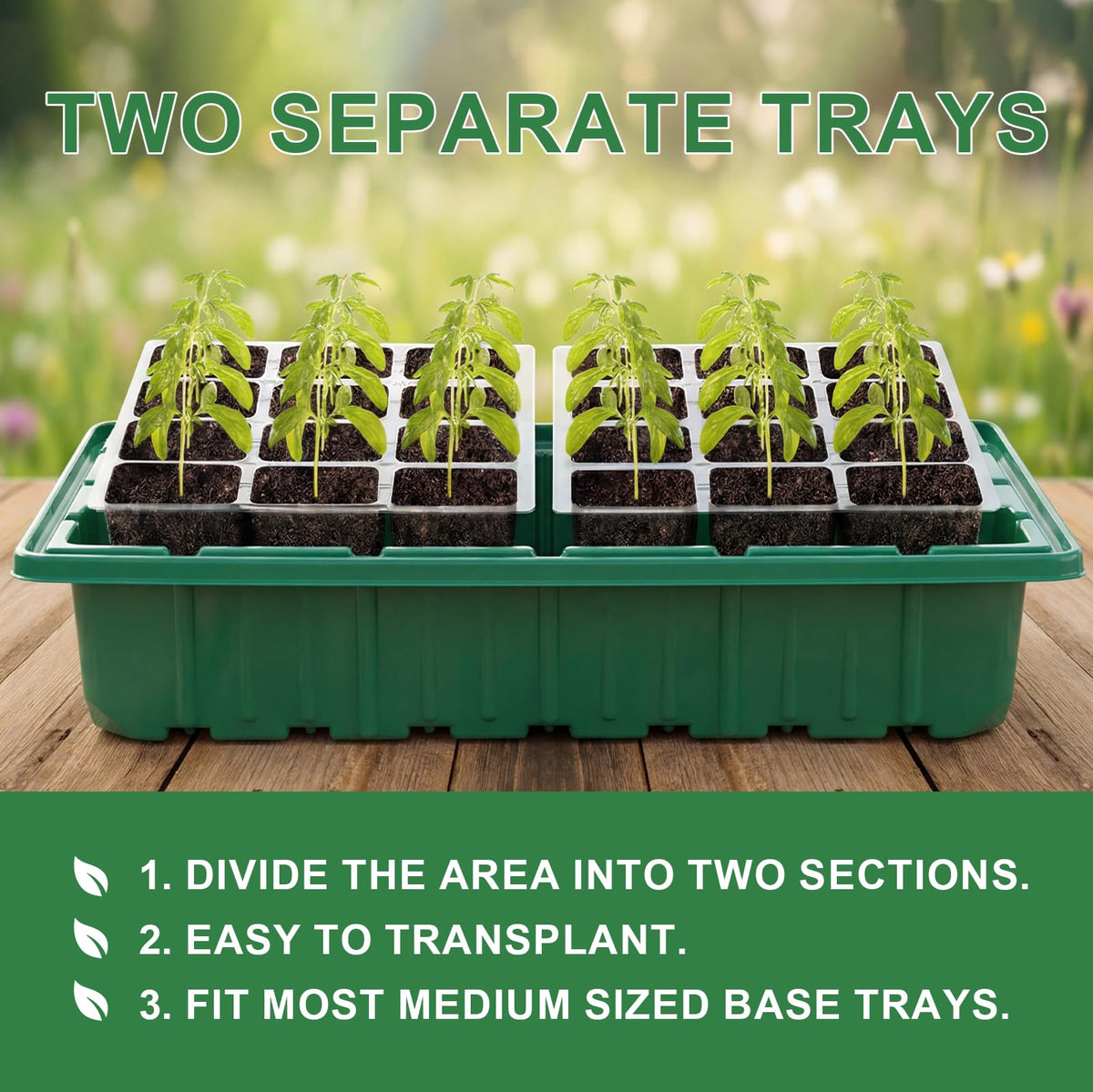 Verdenu propagation set with two lights and precision temp control.