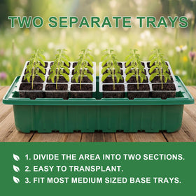 Verdenu propagation set with two lights and precision temp control.