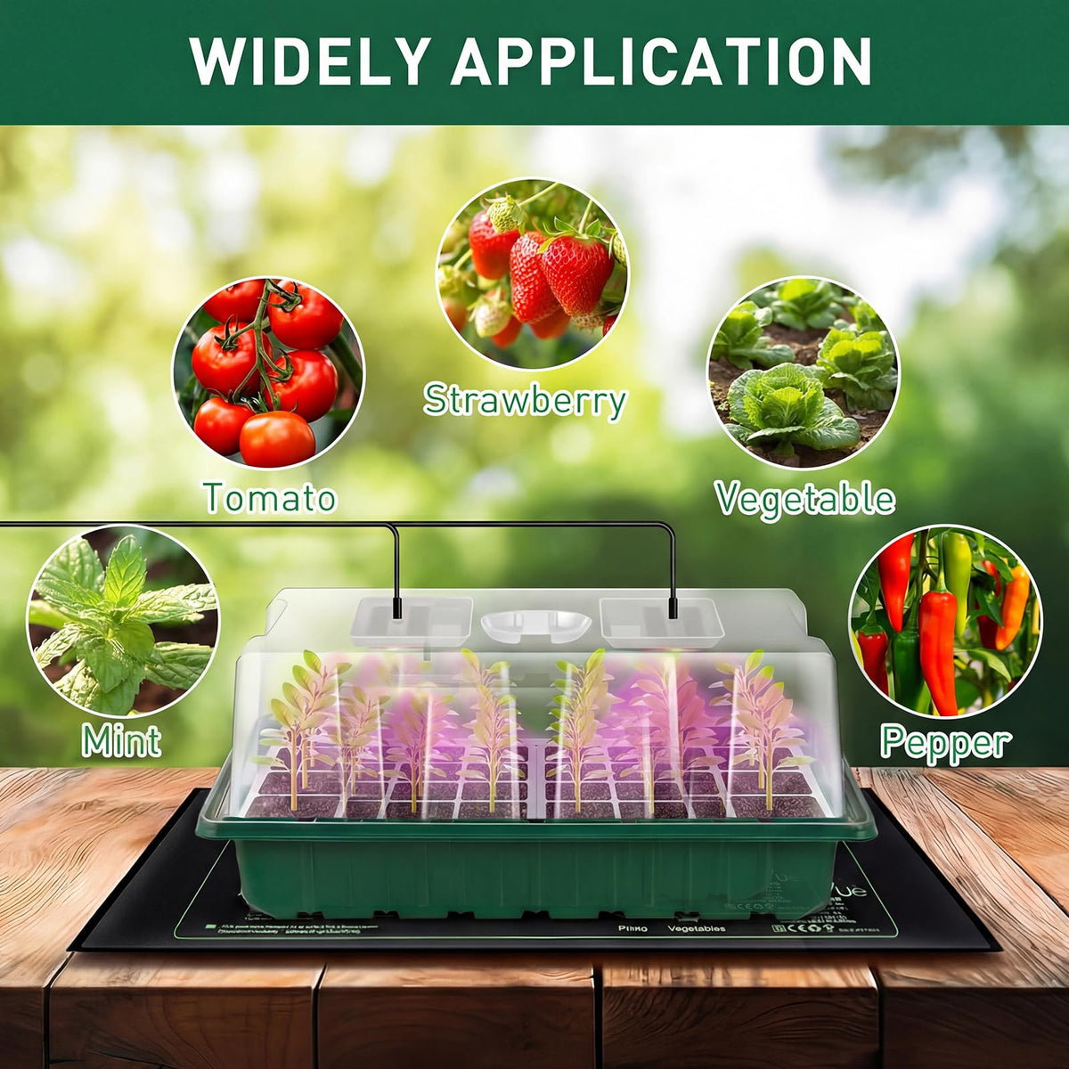 Verdenu seed starter kit complete with tools and labels for organized germination.