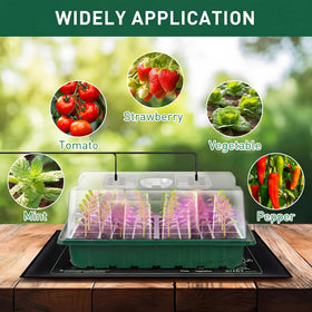Verdenu seed starter kit complete with tools and labels for organized germination.