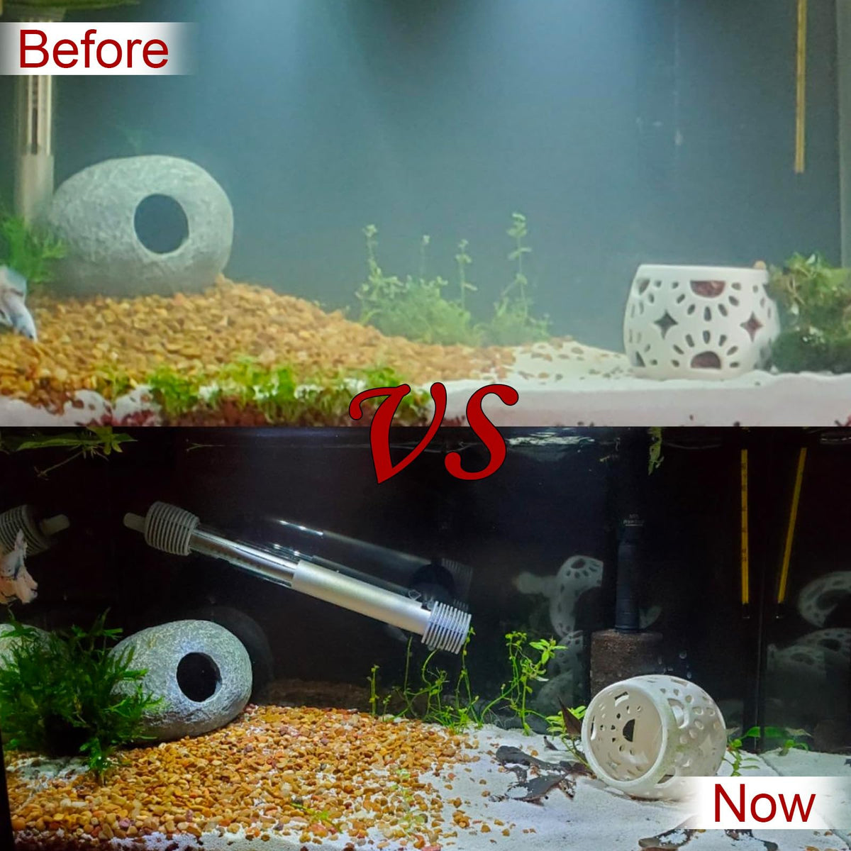 Drop-in installation for fast maintenance during routine pond care