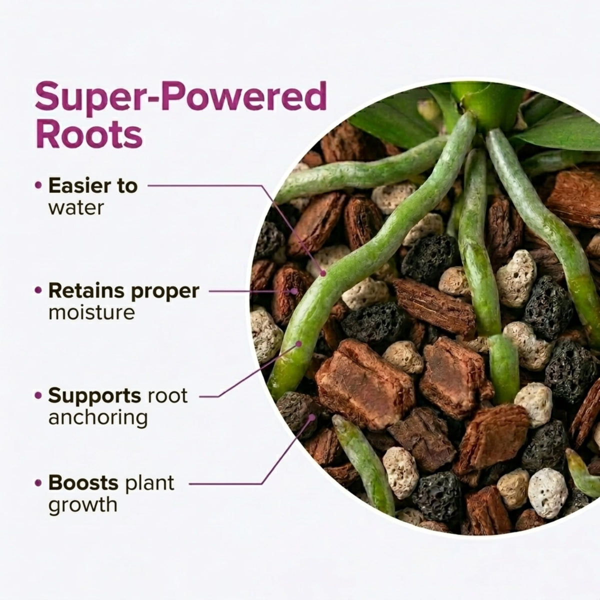 VeryPlants Molly's Orchid Potting Mix akadama and pumice balance minerals
