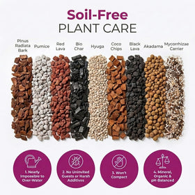 VeryPlants Molly's Orchid Potting Mix bark and coco chips for aeration