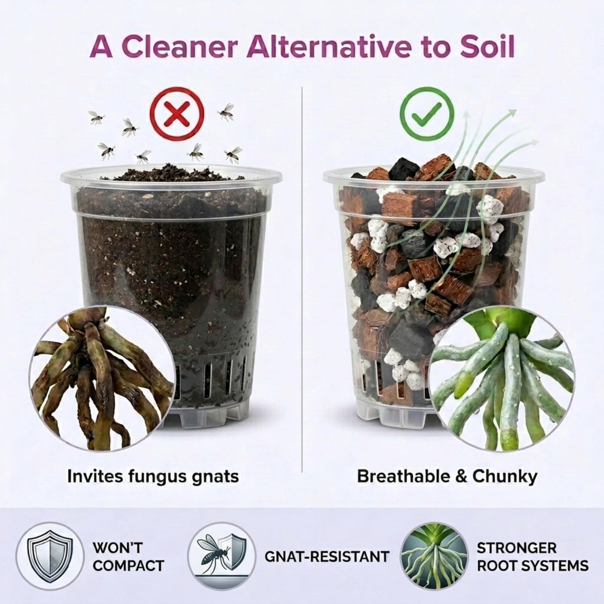 VeryPlants Molly's Orchid Potting Mix coconut chips aid root health